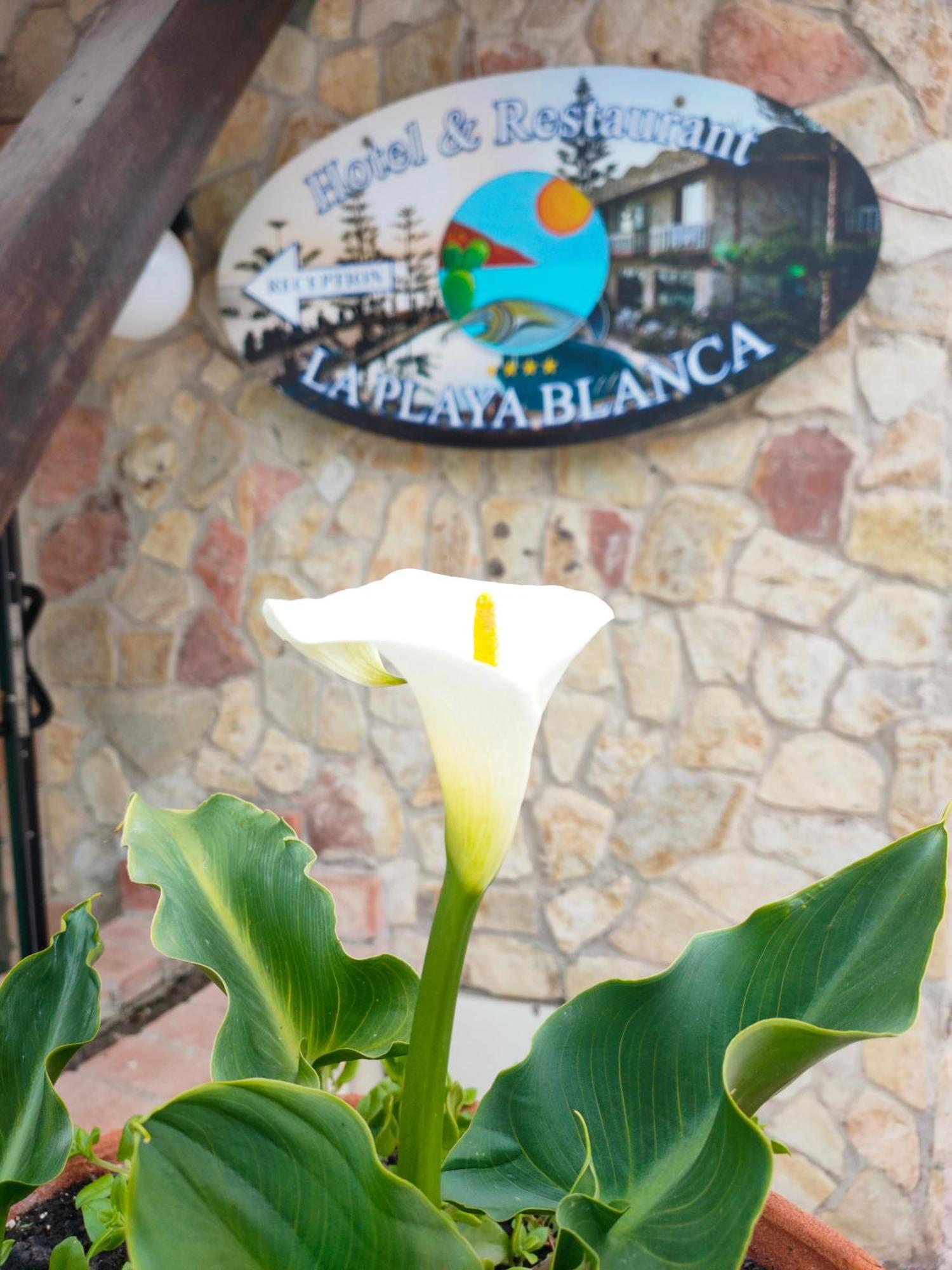 La Playa Blanca Hotel & Ristorante Santo Stefano di Camastra Esterno foto
